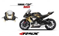 YAMAHA R1 2015 RACE