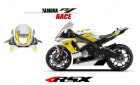 YAMAHA R1 2015 RACE