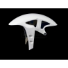 R1 2020 fiberglass front fender