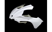 R1 2020-2021 fiberglass racing upper part