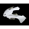 Tête de fourche racing fibre de verre R1 2020-2021