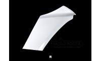 Flanc droit racing fibre de verre R1 2020-2021
