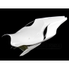 Race seat racing fiberglass R1 2020
