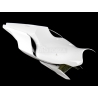 Race seat racing fiberglass R1 2015-2019