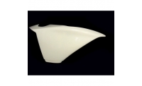 Right side fiberglass R1 09-14