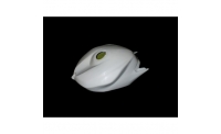 Protection de Réservoir fibre de verre R6 2008-2016