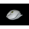 Protection de Réservoir fibre de verre R6 2008-2016