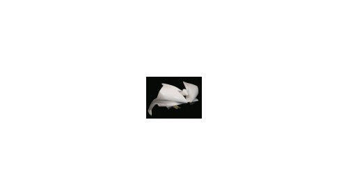 Tête de fourche racing petit format fibre de verre R6 2006-2007