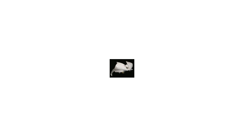 Tête de fourche racing petit format fibre de verre R6 2006-2007