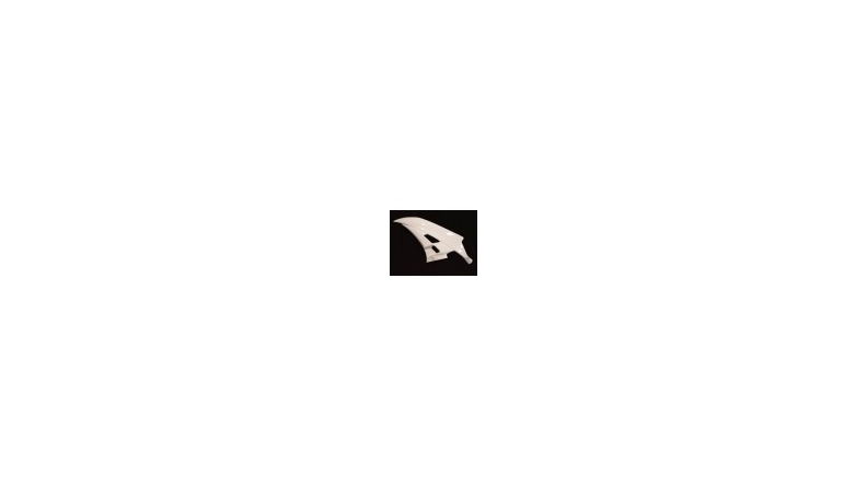 Flanc gauche fibre de verre R6 2006-2007