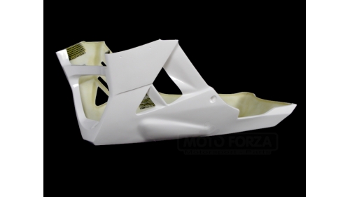 Fiberglass lower part RSV4 2015-2017
