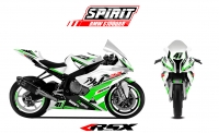 PACK GRAND PRIX BMW S1000RR SPIRIT 2015 BLANC
