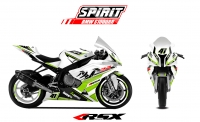 PACK GRAND PRIX BMW S1000RR SPIRIT 2015 BLANC