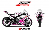 PACK GRAND PRIX BMW S1000RR SPIRIT 2015 BLANC