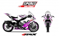 PACK GRAND PRIX BMW S1000RR SPIRIT 2015 BLANC