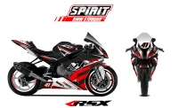 PACK GRAND PRIX BMW S1000RR SPIRIT 2012-2014 NOIR