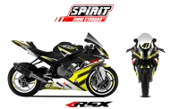 GRAND PRIX PACK BMW S1000RR SPIRIT 2012-2014 BLACK