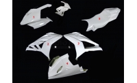 GRAND PRIX PACK BMW S1000RR SPIRIT V2 2015