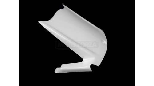 ZX10R 2011-2020 fiberglass rear fender