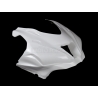 ZX10R 2016-2020 small format racing UPPER PART