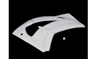 Right side fiberglass ZX10R 2016-2020