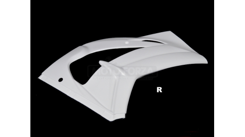 Right side fiberglass ZX10R 2016-2020
