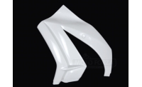 Flanc gauche fibre de verre ZX10R 2011-2015
