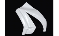 Left side fiberglass ZX10R 2011-2015