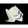 Fiberglass rear fender ZX6R 2009-2016, ZX6R 636 2013-2016, 2019
