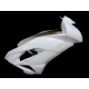 Fiberglass upper part ZX6R 2009-2016, ZX6R 636 2013-2016, 2019