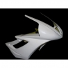 Fiberglass upper part 675 Daytona 06-12