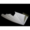 Fiberglass low part 675 Daytona 06-12
