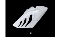 Right side fiberglass S1000RR 09-11