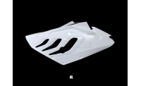 Flanc droit fibre de verre S1000RR 09-11