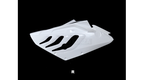Right side fiberglass S1000RR 09-11