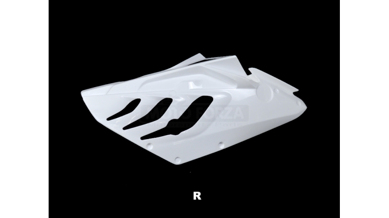 Right side fiberglass S1000RR 09-11