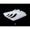 Flanc droit fibre de verre S1000RR 09-11