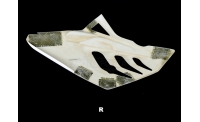 Right side fiberglass S1000RR 09-11