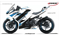 KAWASAKI ZX6R 2007-08 KLS-BL