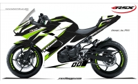 KAWASAKI NINJA400 2018-20 RACE