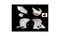 Carénage poly complet 4 parties fibre de verre MOTOFORZA 899, 1199