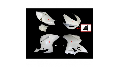 Carénage poly complet 4 parties fibre de verre MOTOFORZA 899, 1199