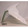 Front fender racing 790/890 DUKE