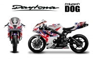 GRAND PRIX PACK TRIUMPH DAYTONA 675 2006-12 KLS DOG