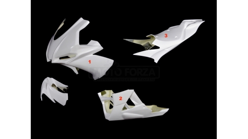 Full poly fairing 3 parts RSV4 2015-2020 fiberglass