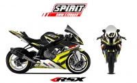 BMW S1000RR SPIRIT 2009-2014