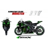 KAWASAKI ZX10R 2011 et + MONSTER-NO