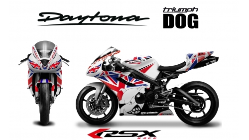 TRIUMPH DAYTONA 675 2006-12 DOG