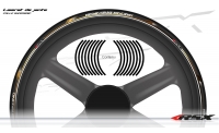 KAWASAKI Wheel stripes