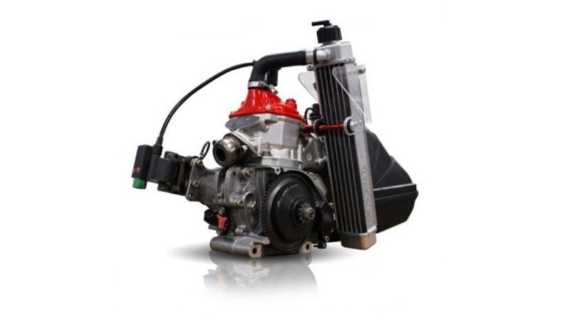 Rotax engine 125 MICRO MAX